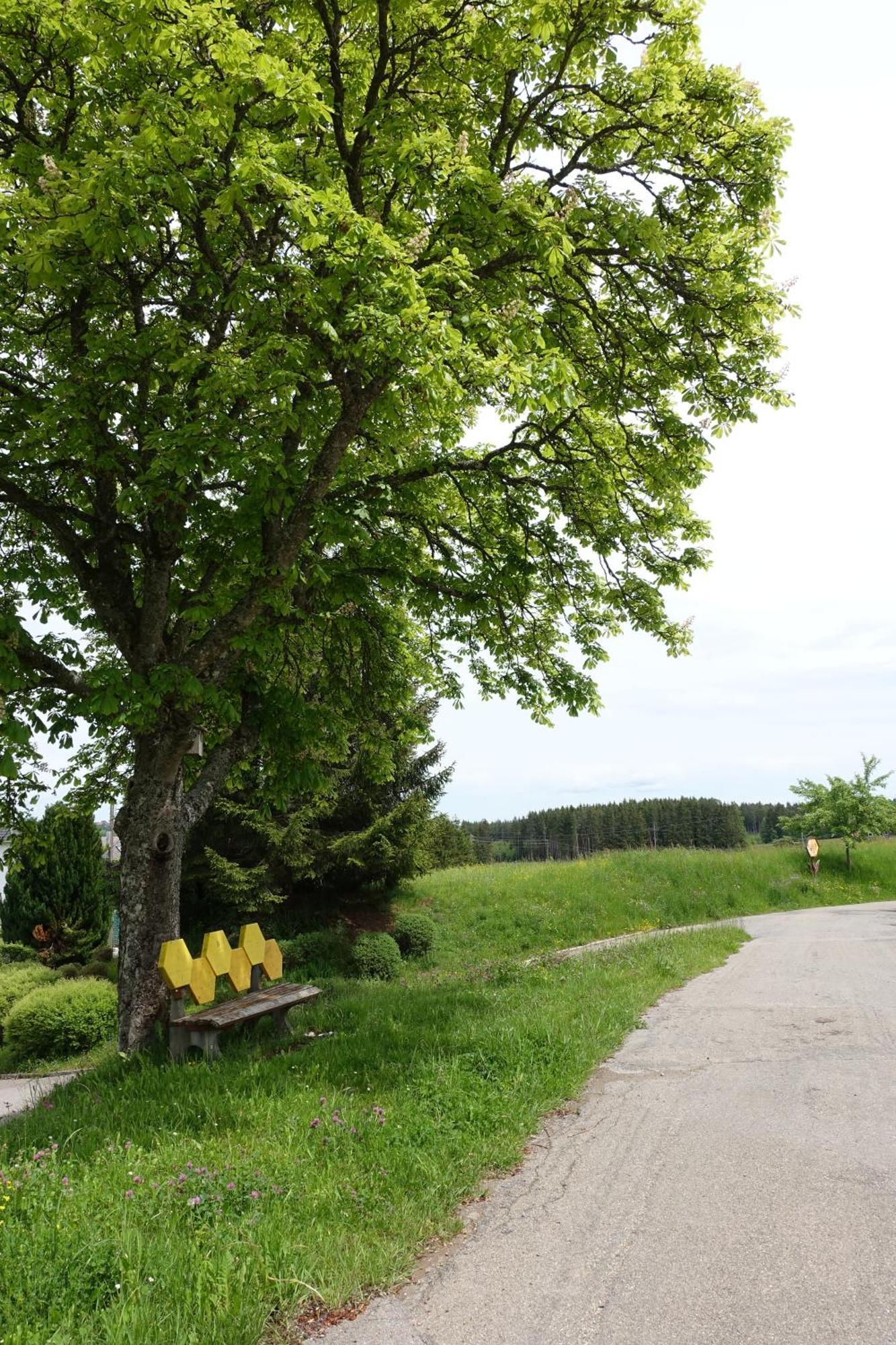 Holzschlag Blick In Den Garten מראה חיצוני תמונה